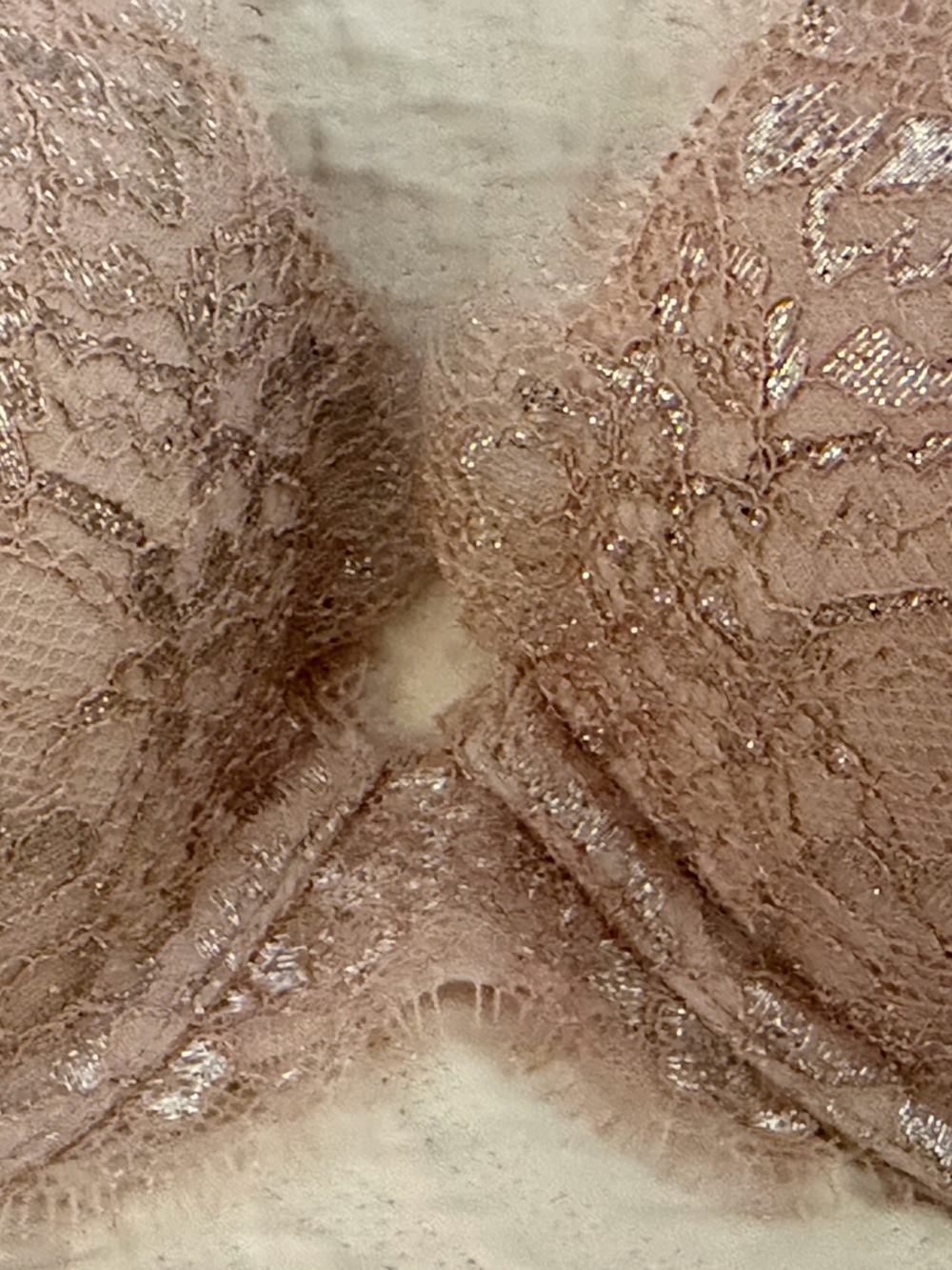 Victoria Secret Lace Plunge Push Up Bra in Blush